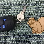 Chalés Toca dos Esquilos